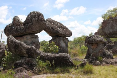 serrania-de-la-lindos. Kolombiya