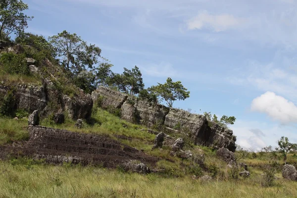 Serrania-de-la-Lindos. Colombia — Stock Photo, Image