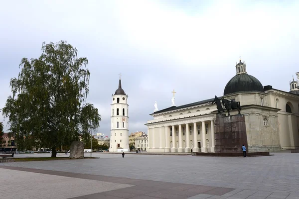 Katedralen i vilnius och st. vladislav — Stockfoto