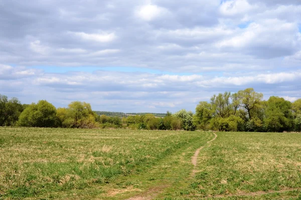 Le paysage sur les rives de l'Oka . — Photo