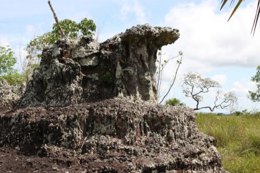 serrania-de-la-lindos. Kolombiya