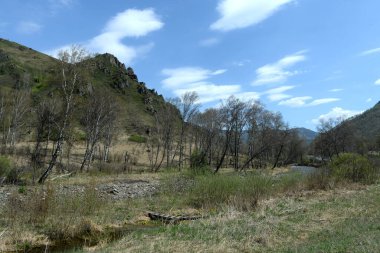 ALTAI REPUBLIC, RUSSIA - 16 Mayıs 2021: Batı Sibirya 'daki Dağ Nehri Sema. Altai Cumhuriyeti