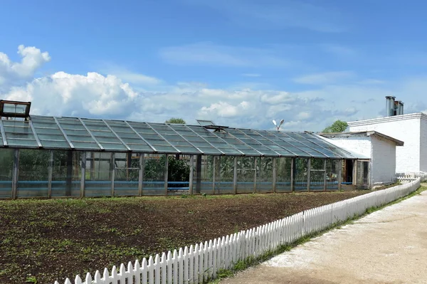 Torzhok Russia May 2012 Greenhouse Growing Fresh Greenery Territory Prison — 图库照片