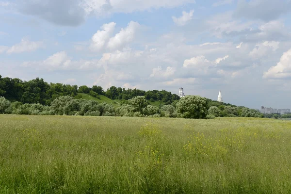 Musée Kolomenskoye — Photo