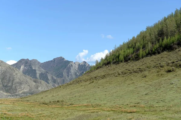 Altai Republic Russia Mayıs 2021 Chuisky Yolu Yakınlarındaki Dağ Manzarası — Stok fotoğraf