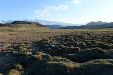 ALTAI REPUBLIC, RUSSIA - 16 Mayıs 2021: Kurai bozkırından Kuzey Chui dağlarının karla kaplı sırtı. Gorny Altai, Kosh-Agachsky bölgesi, Rusya