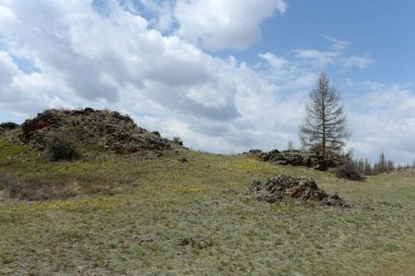 ALTAI REPUBLIC, RUSSIA - 18 Mayıs 2021: Altai Cumhuriyeti 'nin Kosh-Agach ilçesinde Kuzey Chui sırtı yakınlarındaki dağ manzarası. Rusya