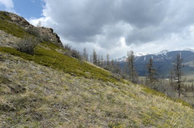 ALTAI REPUBLIC, RUSSIA - 18 Mayıs 2021: Altai Cumhuriyeti 'nin Kosh-Agach ilçesinde Kuzey Chui sırtı yakınlarındaki dağ manzarası. Rusya