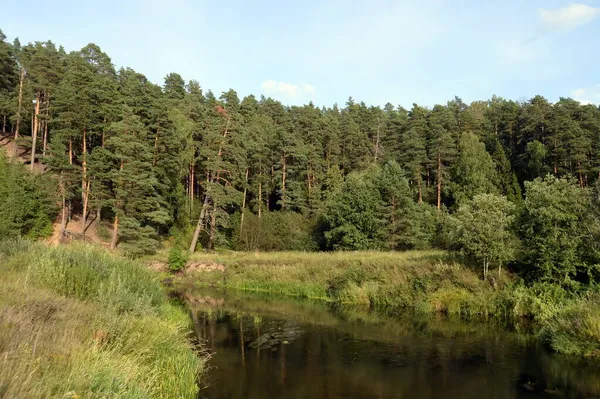 Konyukovo Yaroslavl Region Oroszország August 2021 Nerl Folyó Babya Gora — Stock Fotó