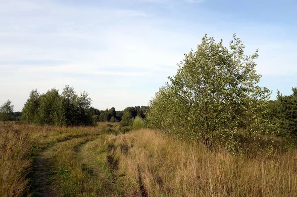 Konyukovo Yaroslavl Region Rusko Srpna 2021 Letní Krajina Pohoří Babya — Stock fotografie