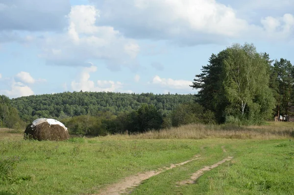 Konyukovo Yaroslavl Region Russia August 2021 Summer Landscape Outskirts Village — 图库照片