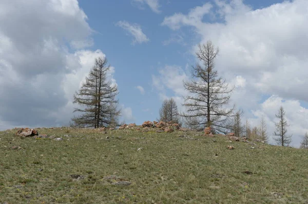 República Altai Rusia Mayo 2021 Paisaje Montañoso Cerca Cresta Chui — Foto de Stock