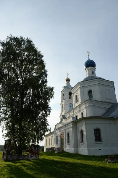 Precistoe Región Yaroslavl Rusia Agosto 2021 Iglesia Natividad Santísima Theotokos —  Fotos de Stock
