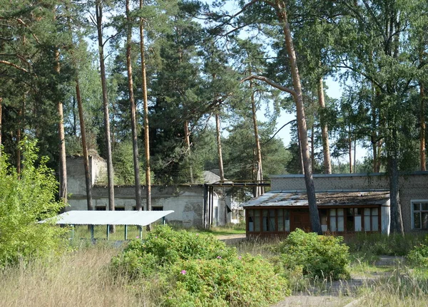 Itlar Yaroslavl Region Russia August 2021 Verlaten Kindersomatisch Sanatorium Itlar — Stockfoto