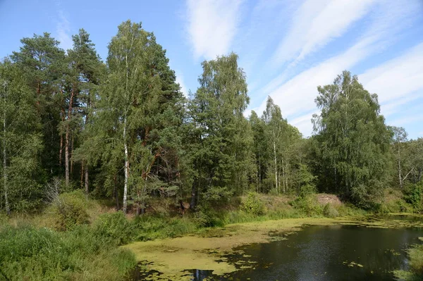 Okhotino Yaroslavl Region Rusko Srpna 2021 Řeka Nerl Jaroslavlském Kraji — Stock fotografie