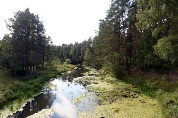 Okhotino Yaroslavl Region Russia Ağustos 2021 Yaroslavl Bölgesindeki Nerl Nehri — Stok fotoğraf