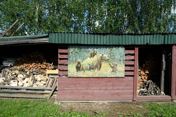 Zaozerye Région Yaroslavl Russie Août 2021 Tas Bois Dans Cour — Photo