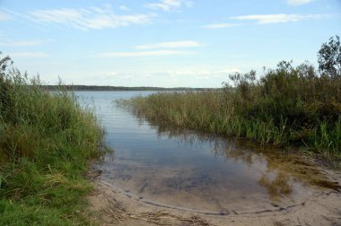 YAROSLAVL REGION, RUSSIA - AUGUST 15, 2021:Vashutinskoye Lake in the Yaroslavl region. Russia