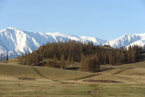 Altai Republic Russia Maj 2021 Widok Północną Górę Chui Pokrytą — Zdjęcie stockowe