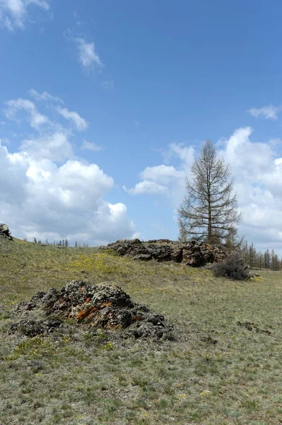 アルタイ共和国 ロシア 2021年5月18日 アルタイ共和国のコシュ アガチ地区の北チュイ尾根付近の山岳風景 ロシア — ストック写真