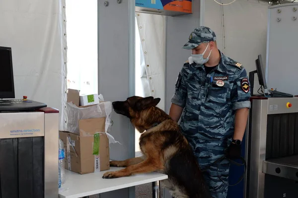 Zhukovsky Moscow Region Ryssland Juli 2021 Kynolog Inspektör Med Hund — Stockfoto