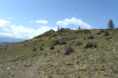 ALTAI REPUBLIC, RUSSIA - 18 Mayıs 2021: Altai Cumhuriyeti 'nin Kosh-Agach ilçesinde Kuzey Chui sırtı yakınlarındaki dağ manzarası. Rusya