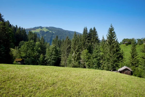 Mountains Buried Greenery House Mountains Croatia — Stock Photo, Image