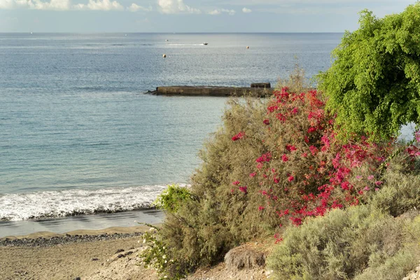 Meereslandschaft Und Küstennahe Vulkanische Felsen Strand Caleta Kanarische Insel Teneriffa — Stockfoto