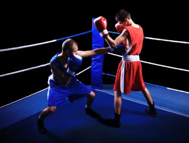 iki erkek boksörler ringe mücadele