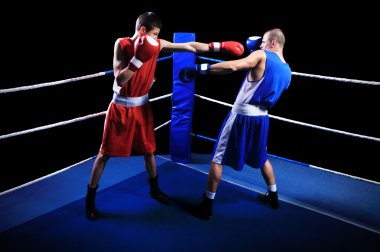 iki erkek boksörler ringe mücadele