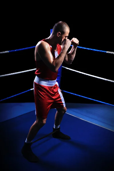 Boxer masculino no ringue fazendo exercício — Fotografia de Stock