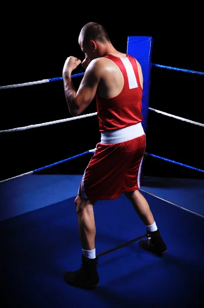 Male boxer in ring doing exercise — Stock Photo, Image