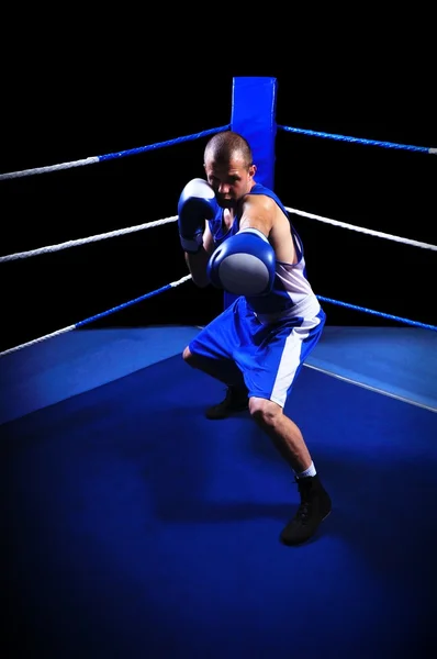 Boxer masculino no ringue fazendo exercício — Fotografia de Stock