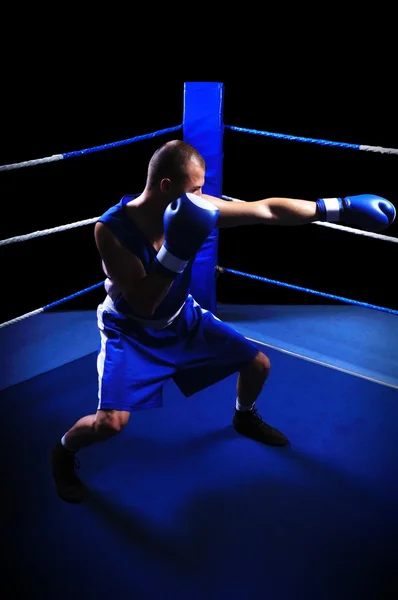 Boxeador masculino en ring haciendo ejercicio — Foto de Stock