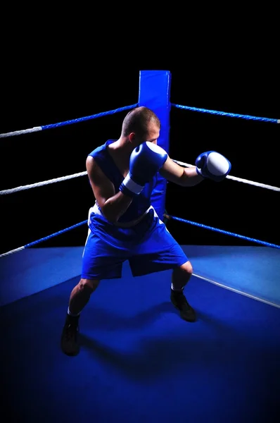 Мужской боксер в ринге делает упражнения — стоковое фото