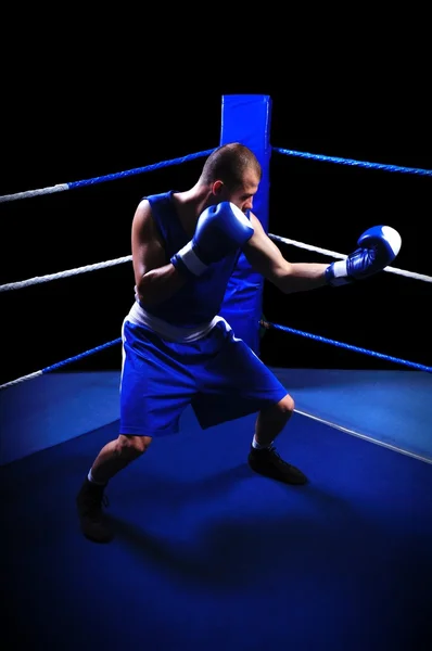 Mannelijke bokser in ring doen oefening — Stockfoto
