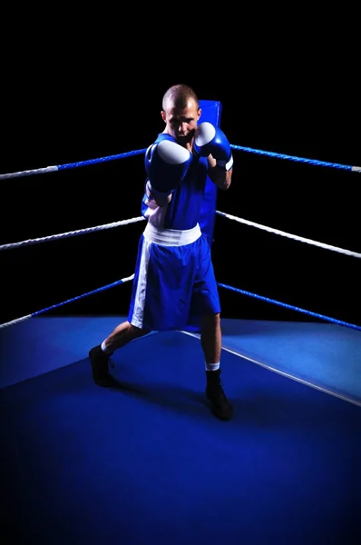 Boxeador masculino en ring haciendo ejercicio —  Fotos de Stock