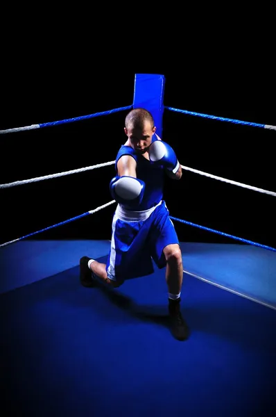 Boxeador masculino en ring haciendo ejercicio — Foto de Stock