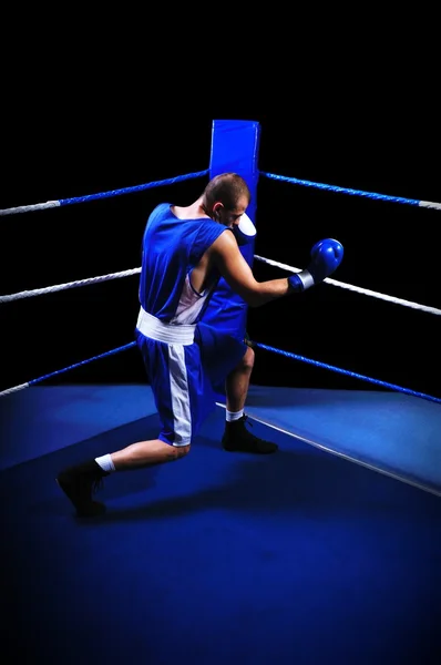 Mannelijke bokser in ring doen oefening — Stockfoto