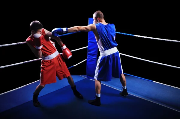 Dos boxeadores machos peleando en ring — Foto de Stock