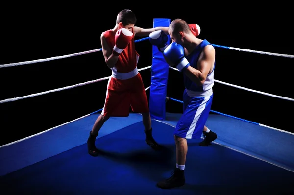 Dos boxeadores machos peleando en ring —  Fotos de Stock