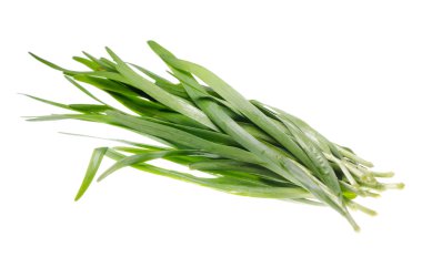 izole chives