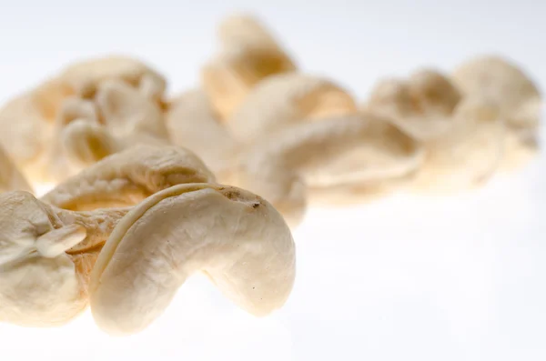 Cashew nut isolated — Stock Photo, Image