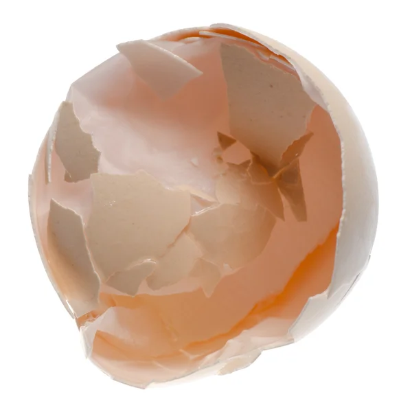 Egg shell — Stock Photo, Image