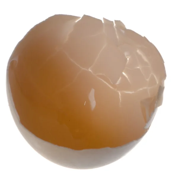 Guscio d'uovo — Foto Stock