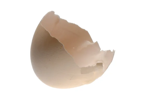 卵の殻 — ストック写真