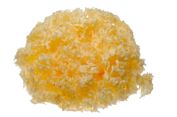 Chińskie jedzenie Trzęsak fuciformis biały grzyb — Zdjęcie stockowe