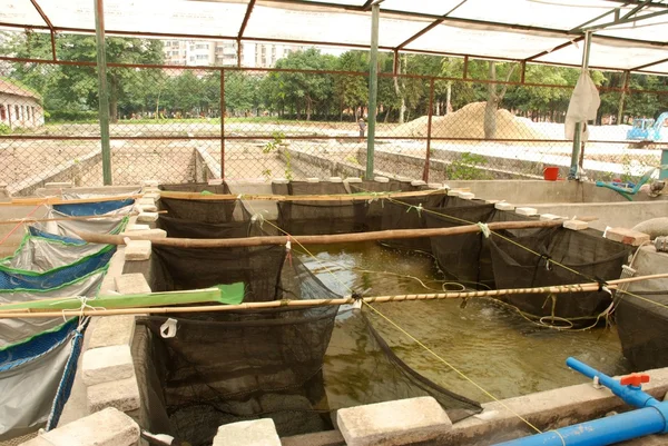 tarım su ürünleri çiftliği