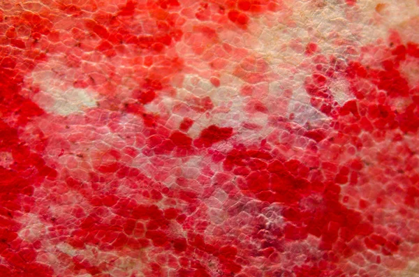 显微镜下红樱桃水果果皮细胞 — 图库照片