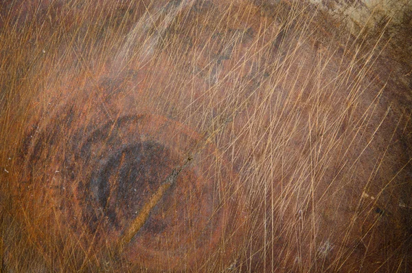 破旧的切的树树干纹理 — 图库照片
